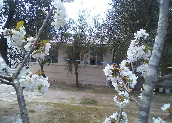 Casa Vacanza Fiorella
